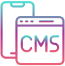 CMS Development Services