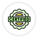 Certified .NET Developers
