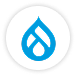 Hire a Drupal Module Developer